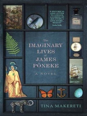 cover image of The Imaginary Lives of James Poneke